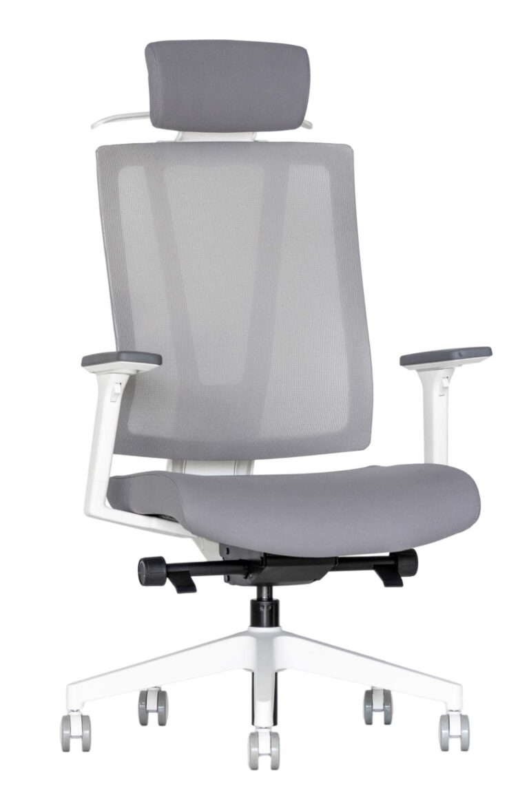 Ergonominė kėdė Avanti white HRU