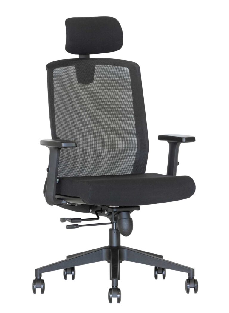 Ergonominė kėdė Flexus HRU