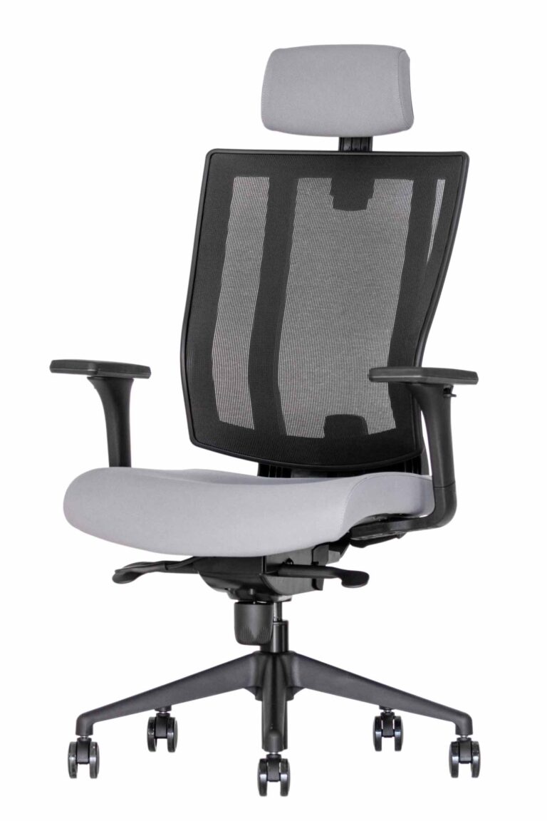 Ergonominė kėdė Promax HRU