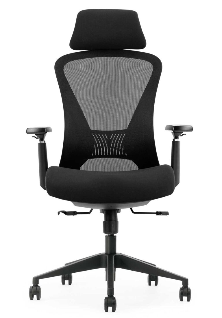 Ergonominė kėdė Roxen HRU