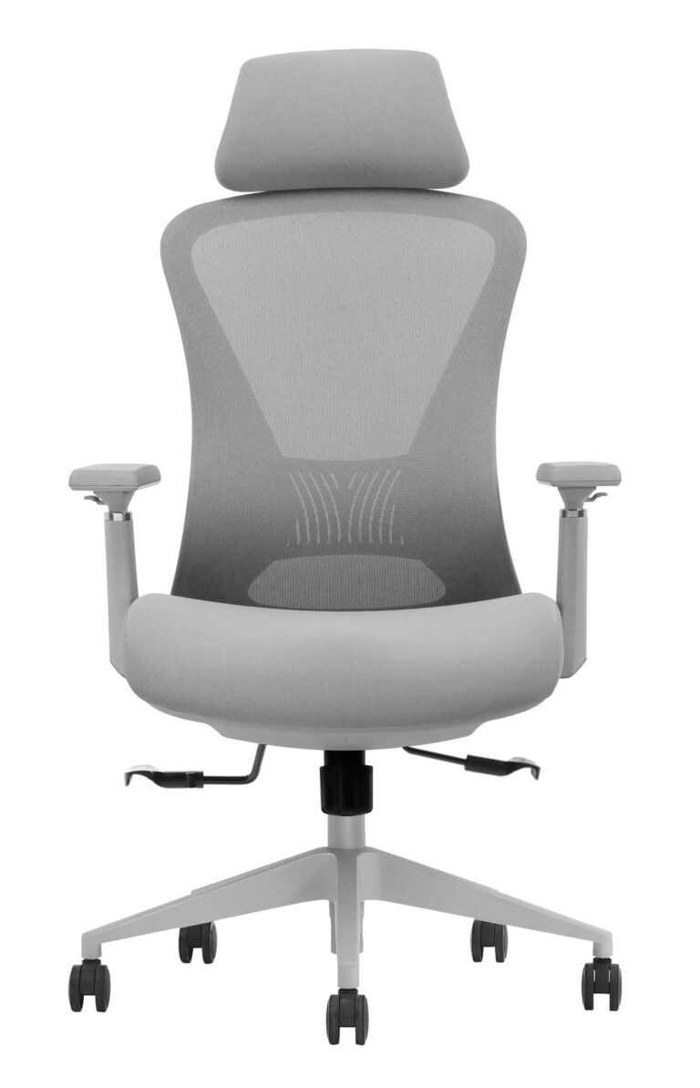 Ergonominė kėdė Roxen white HRU