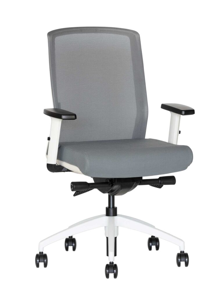 Ergonominė kėdė Scandi