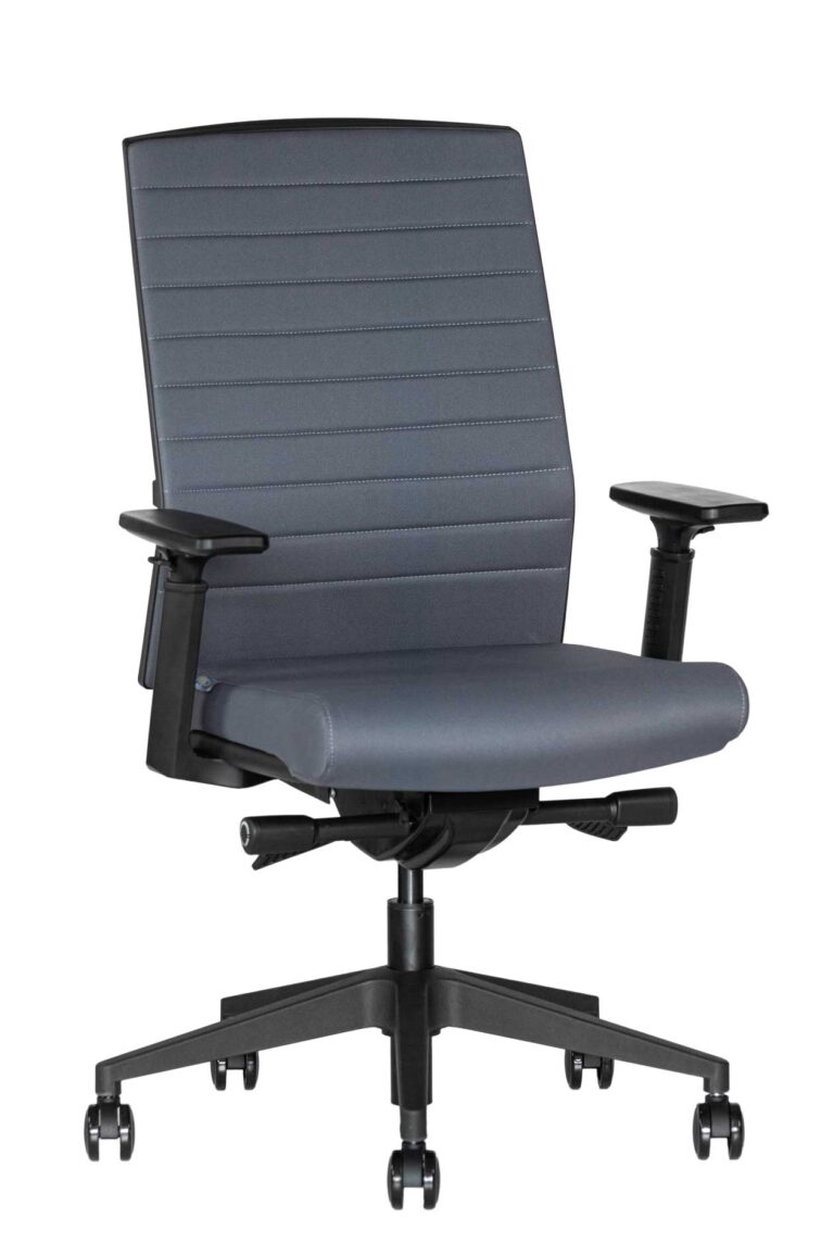 Ergonominė kėdė Skanor