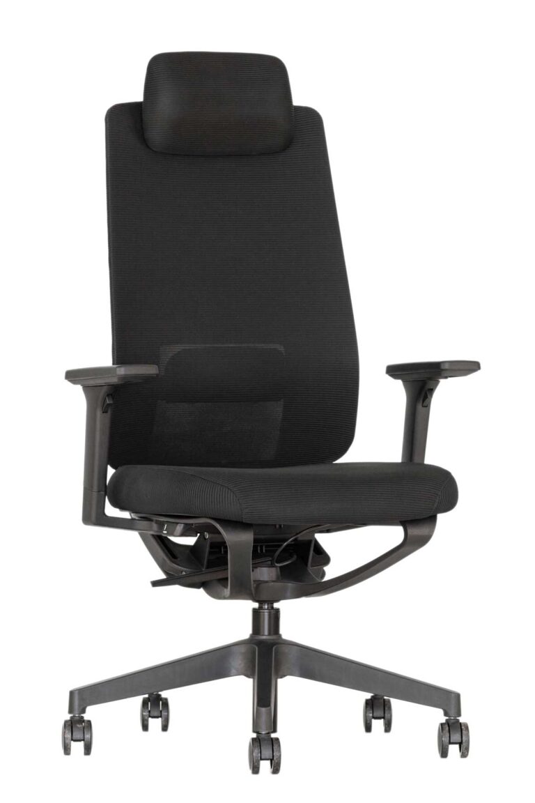 Ergonominė kėdė Solberg HRU