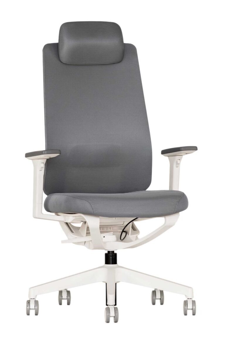 Ergonominė kėdė Solberg white HRU