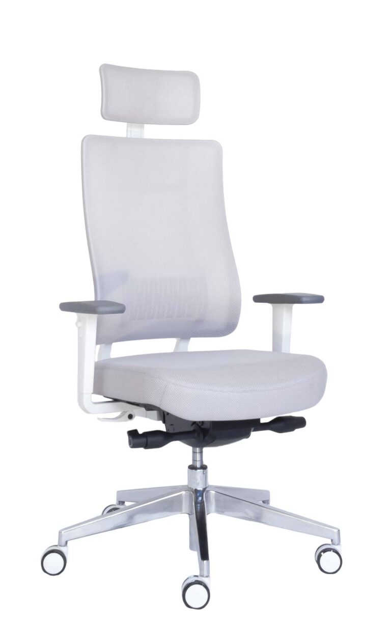 Ergonominė kėdė X-trans white HRU