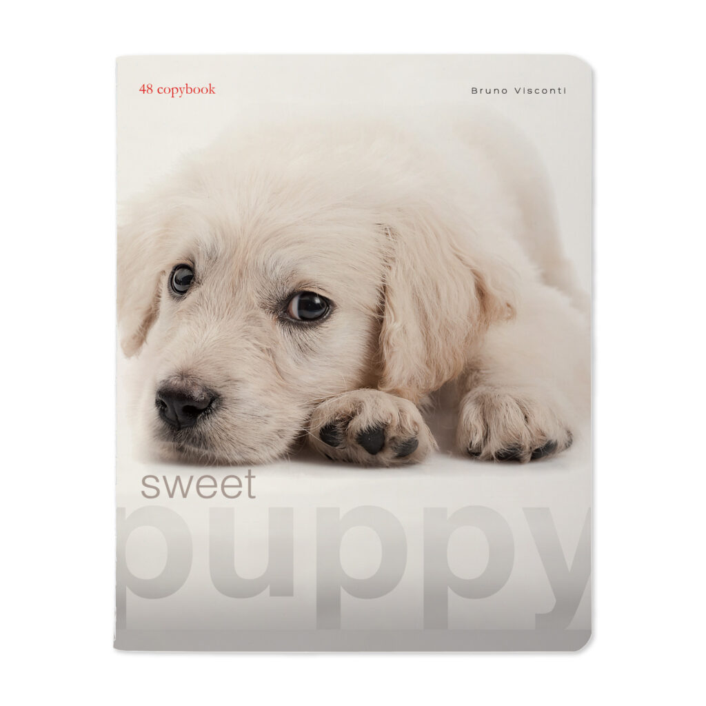Sąsiuvinis Bruno Visconti A5, Sweet Puppy, 5×5 langeliais, 48 lapų