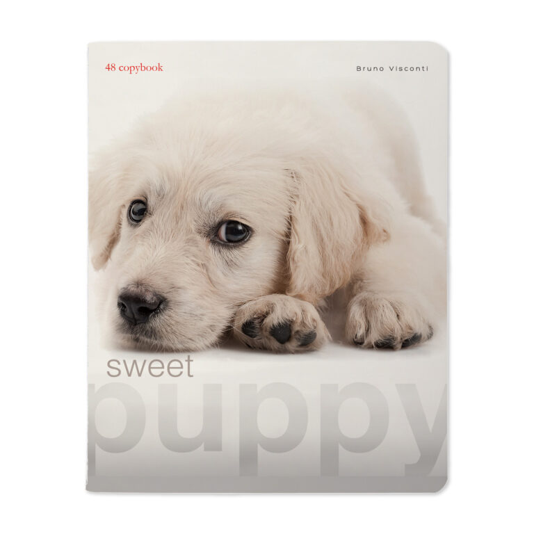 Sąsiuvinis Bruno Visconti A5, Sweet Puppy, 5×5 langeliais, 48 lapų