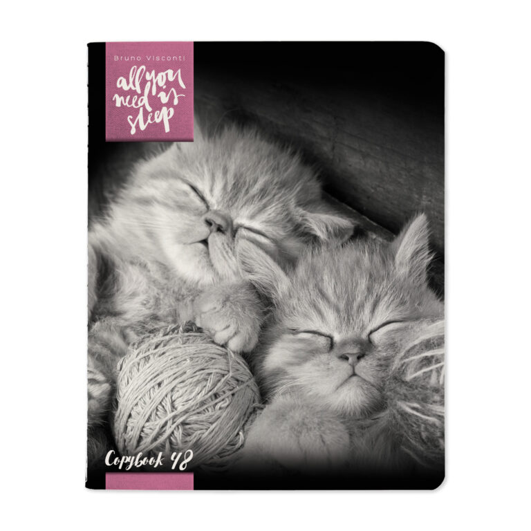Sąsiuvinis Bruno Visconti, Kittens Mur 2, A5, 48 lapai, langeliais