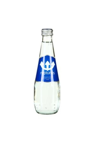 Mineralinis vanduo Neptūnas, negazuotas, stikle, 0.33l (D)