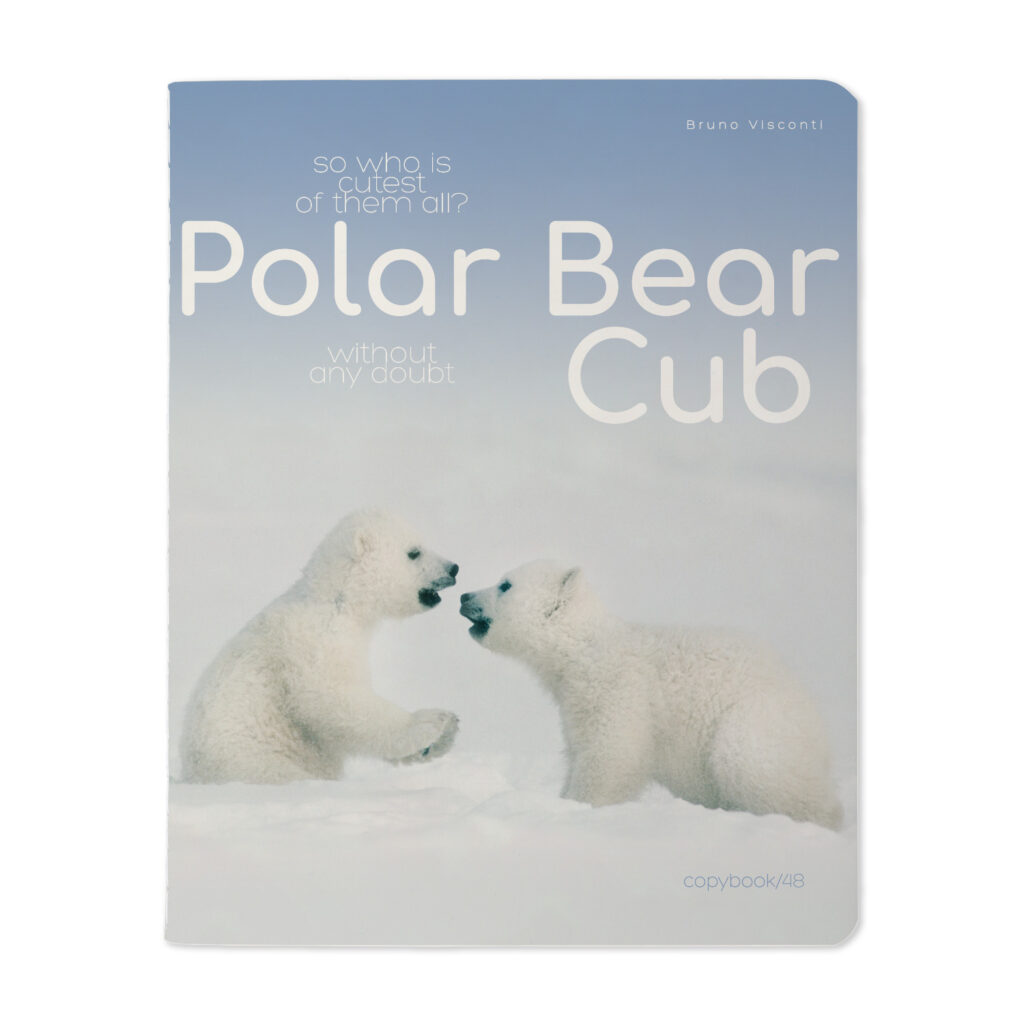 Sąsiuvinis Bruno Visconti Polar Bear Cub 2, A5, langeliais, 48 lapų