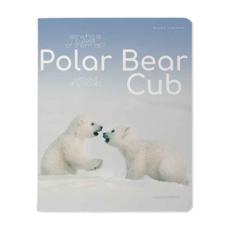 Sąsiuvinis Bruno Visconti Polar Bear Cub 2, A5, langeliais, 48 lapų