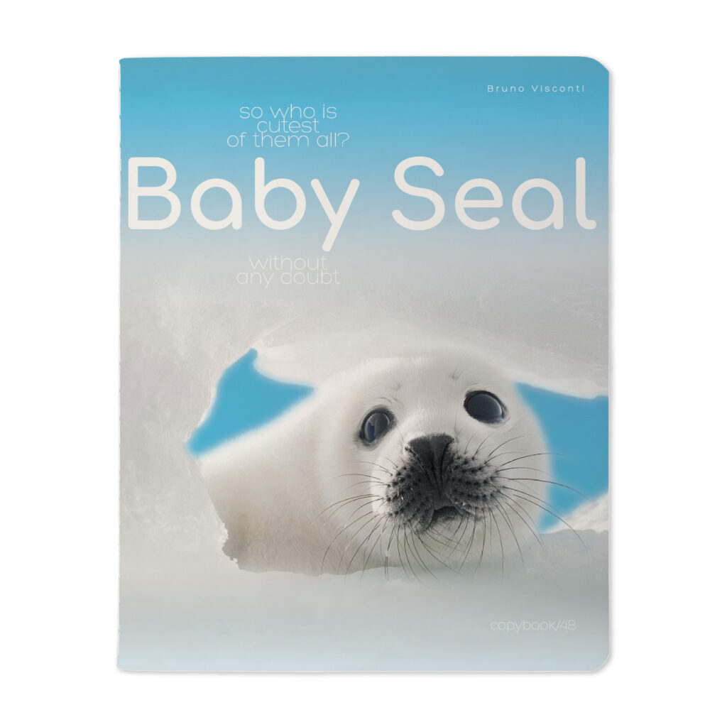 Sąsiuvinis Bruno Visconti A5,Baby Seal, 5×5 langeliais, 48 lapų
