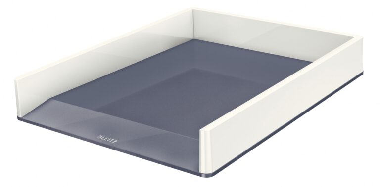 Dokumentų lentynėlė Leitz Wow Dual, A4, plastikinė, baltos/pilkos spalvos