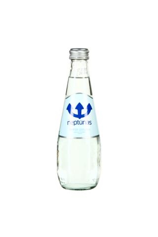 Mineralinis vanduo Neptūnas, gazuotas, stikle, 0.33l (D)
