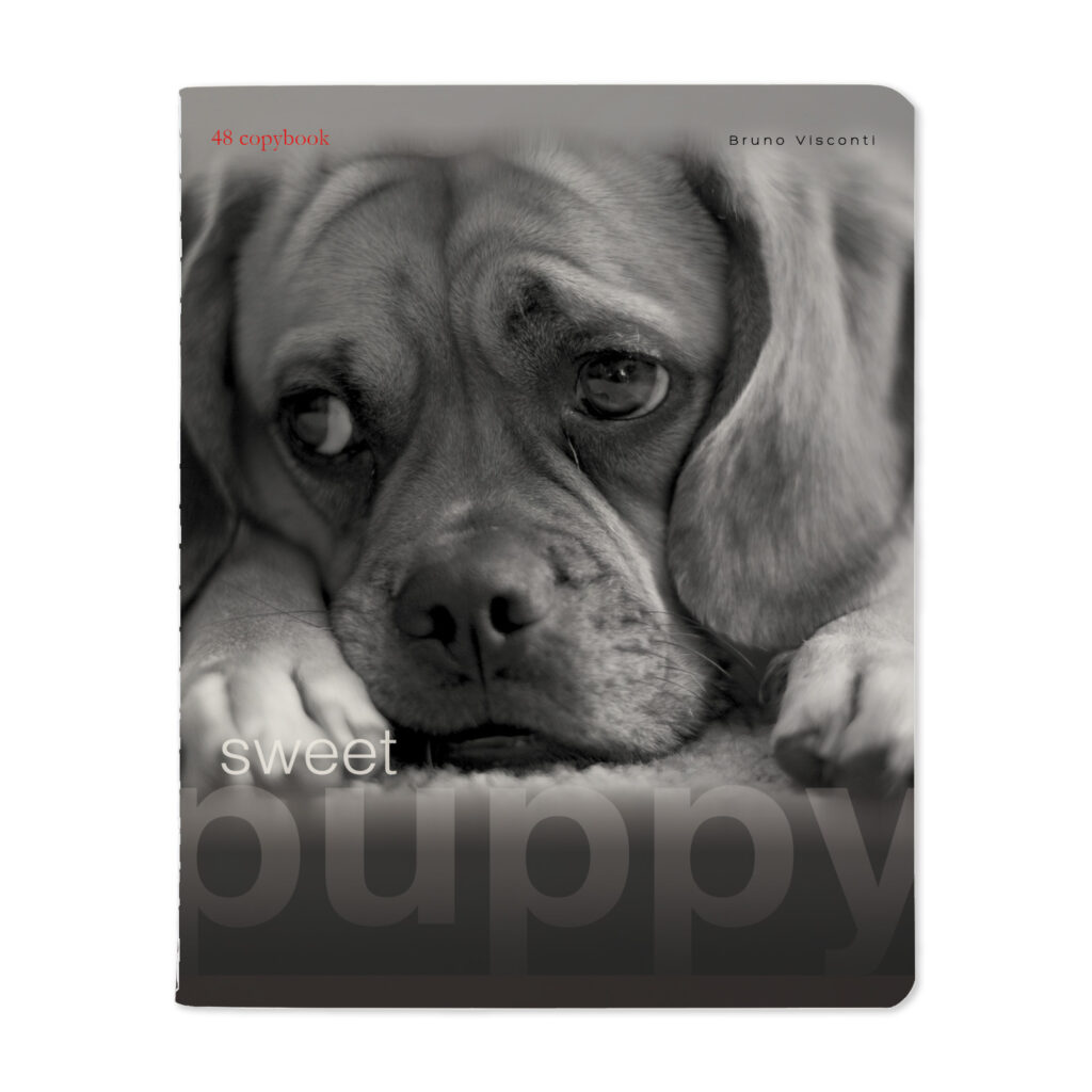 Sąsiuvinis Bruno Visconti A5, Sweet Puppy 3, 5×5 langeliais, 48 lapų