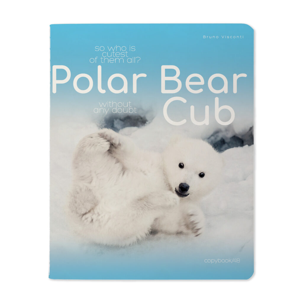 Sąsiuvinis Bruno Visconti A5, Polar Bear Cub, 5×5 langeliais, 48 lapų