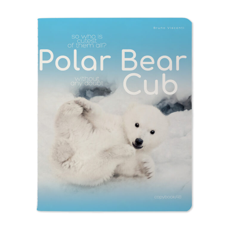 Sąsiuvinis Bruno Visconti A5, Polar Bear Cub, 5×5 langeliais, 48 lapų