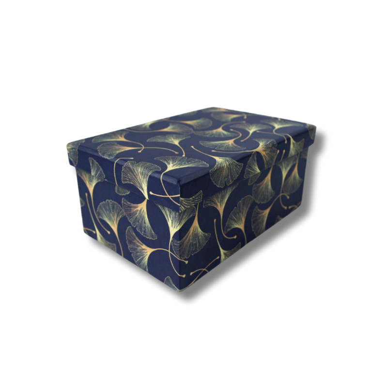 Dovanų dėžutė College 19×13.5x8mm, mėlynos spalvos