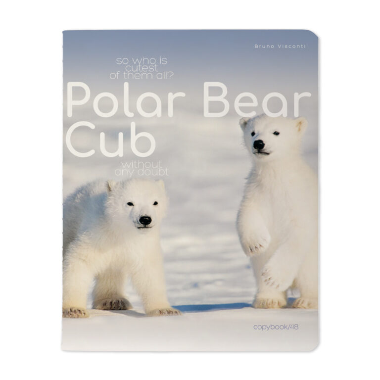 Sąsiuvinis Bruno Visconti Polar Bear Cub 3, A5, langeliais, 48 lapų