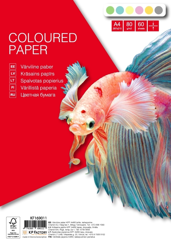 Spalvoto popieriaus rinkinys College, A4, 80g, 6 pastelinės spalvos po 10 lapų, 60 lapų