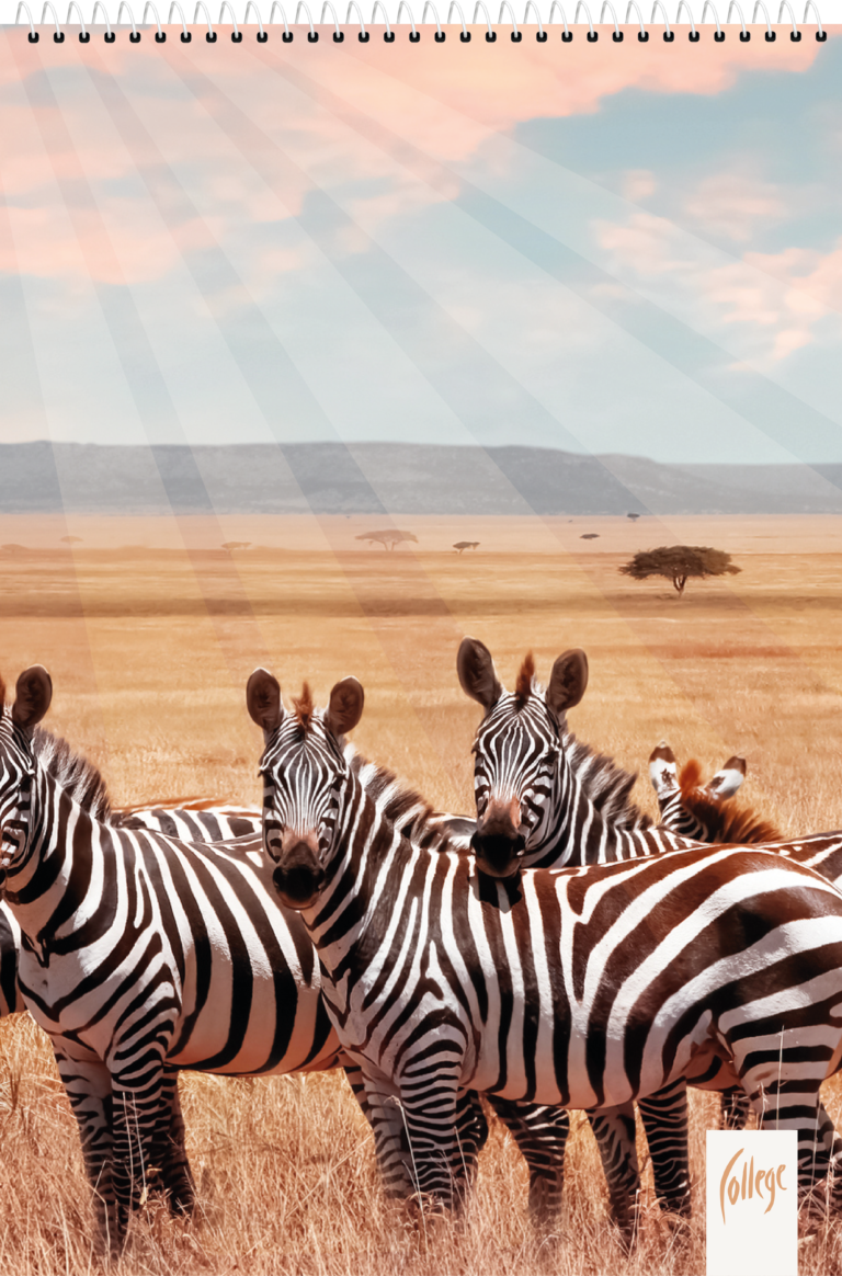 Bloknotas College Premium, A5, 80 lapų, langeliais, su spirale viršuje