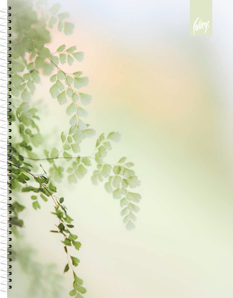 Sąsiuvinis College Premium, A5, 80 lapų, su spirale šone, linijomis