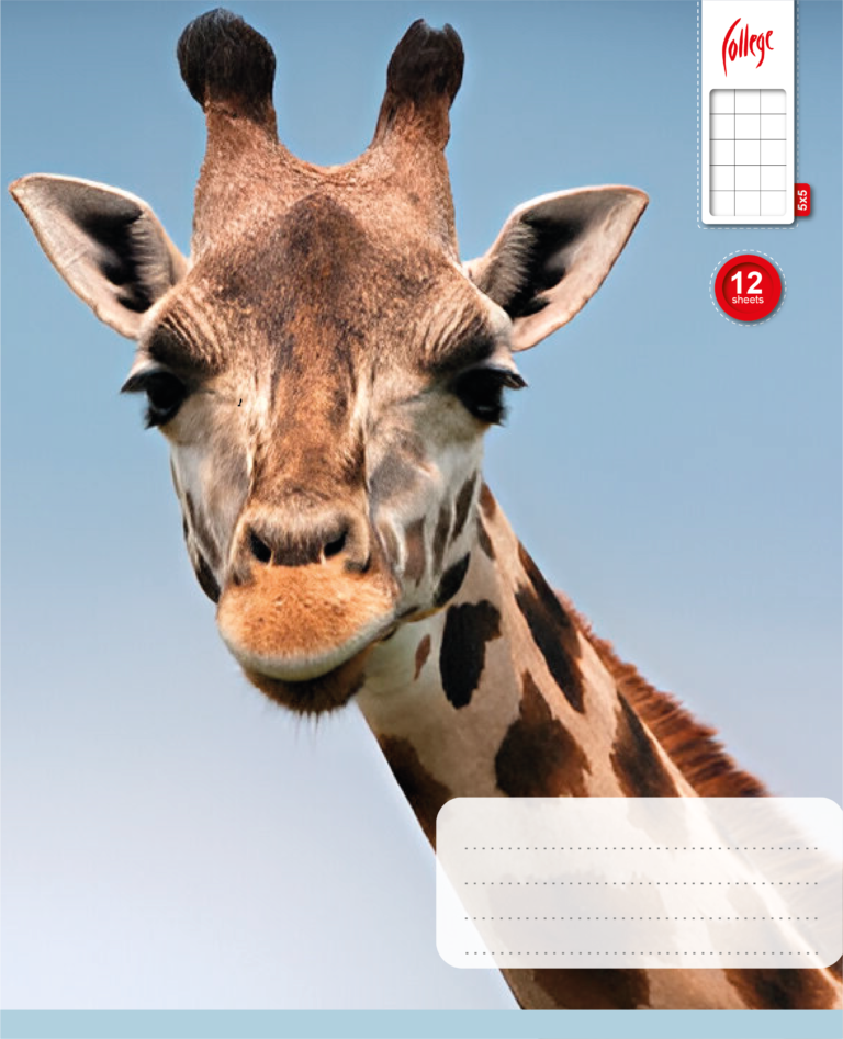 Sąsiuvinis College, 165x205mm, 12 lapų, langeliais, su fotoviršeliu