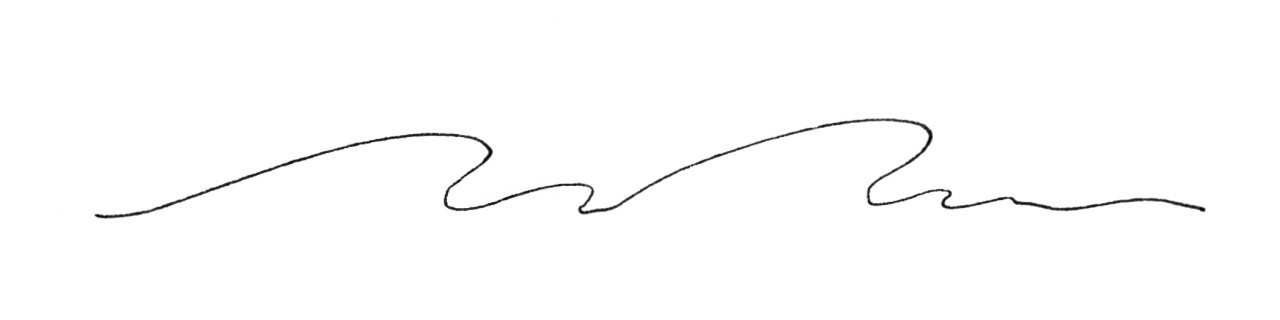 167799_Pitt Artist Pen Fineliner XXS India ink pen, black