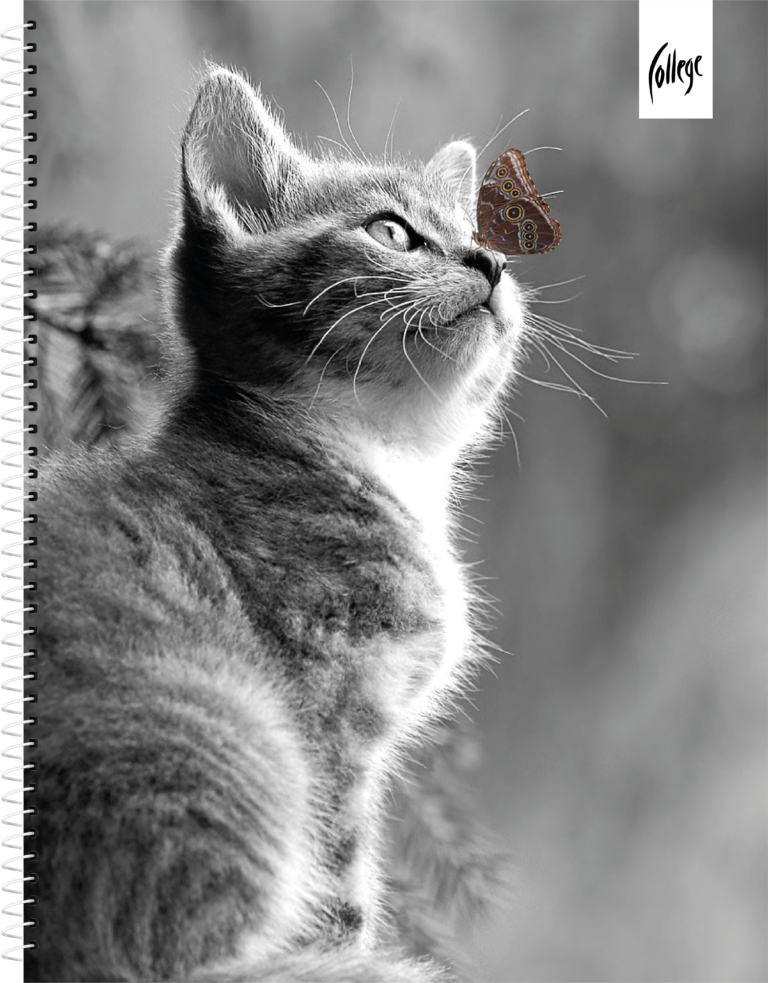 Sąsiuvinis College Premium, A5, 80 lapų, langeliais, su spirale šone