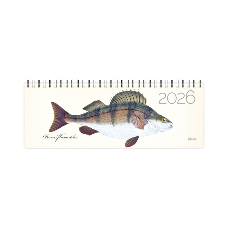 Stalinis kalendorius Timer Fish, 290x105mm, kartoninis laminuotas viršelis