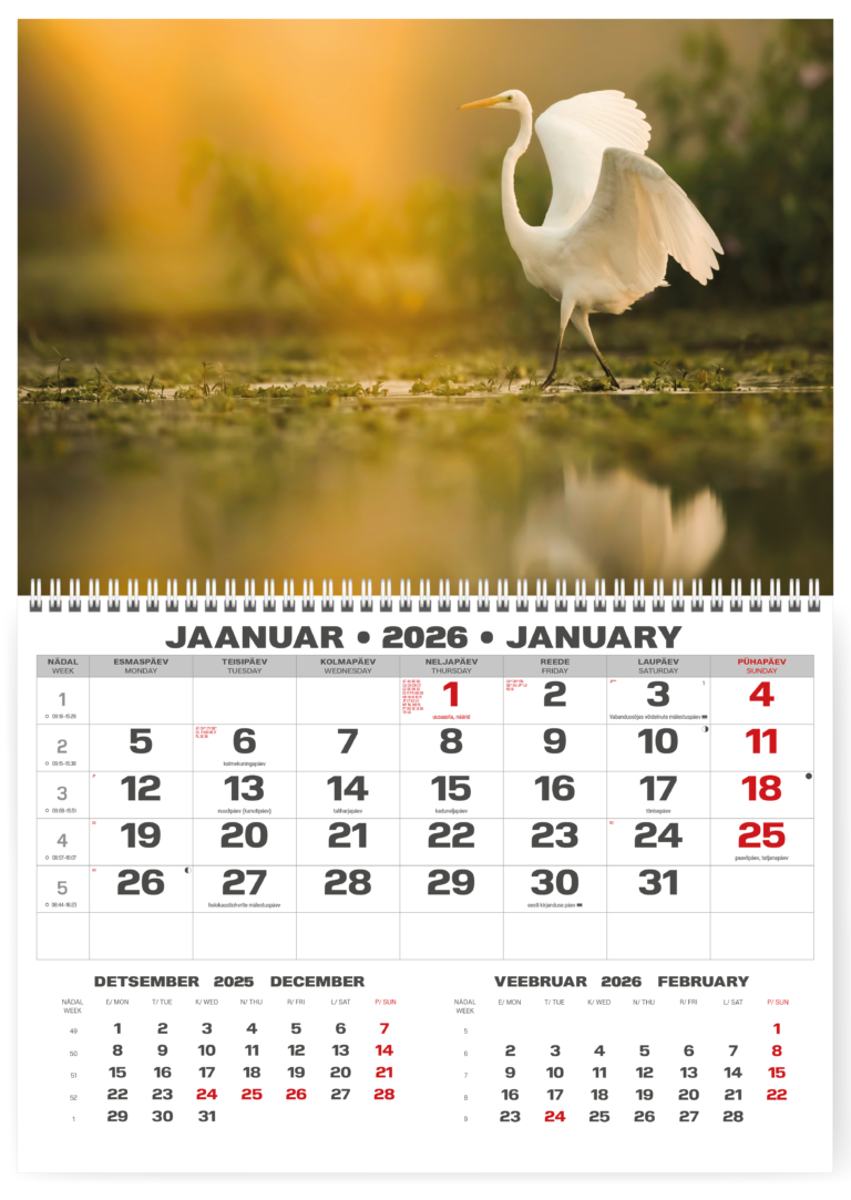 Sieninis kalendorius College UNO, lietuvių kalba, 2026m, nr.4