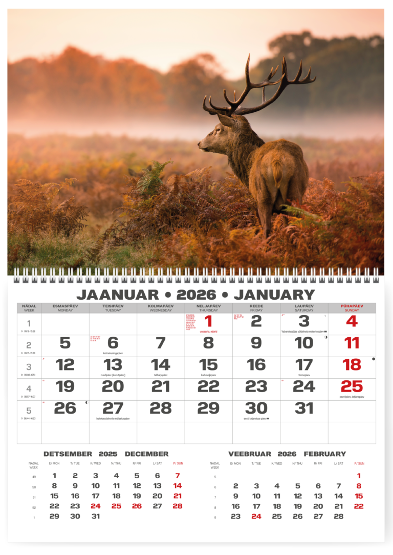 Pakabinamas kalendorius College UNO, lietuvių kalba, 2025m, nr.6