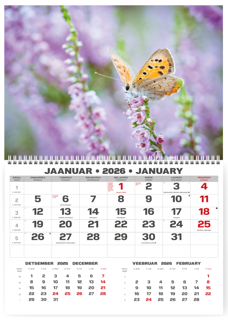 Pakabinamas kalendorius College UNO, lietuvių kalba, 2025m, nr.2