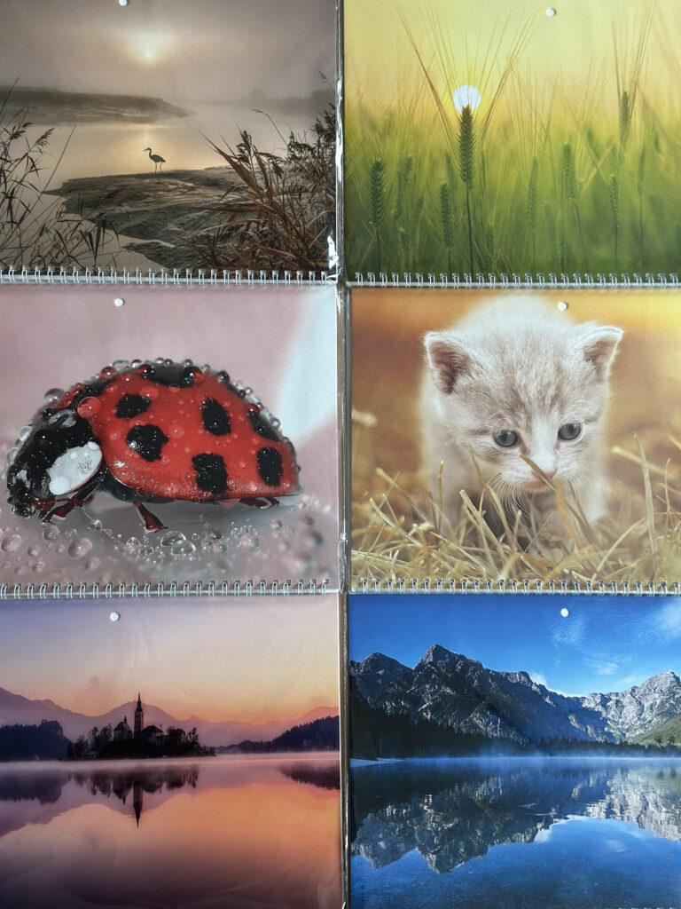 Sieninis kalendorius College TRIO CHARLOT, lietuvių kalba, 2025m