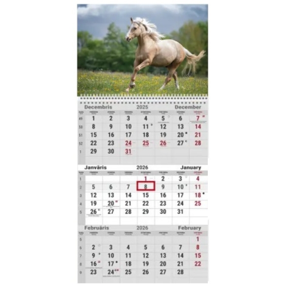 Pakabinamas kalendorius College TRIO lietuvių kalba 2026 m, nr.1