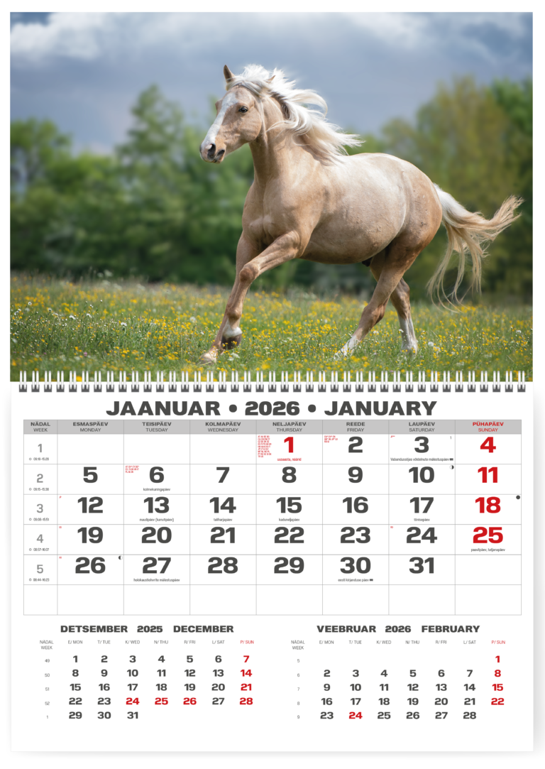 Pakabinamas kalendorius College UNO lietuvių kalba, 2026 m, Žirgas