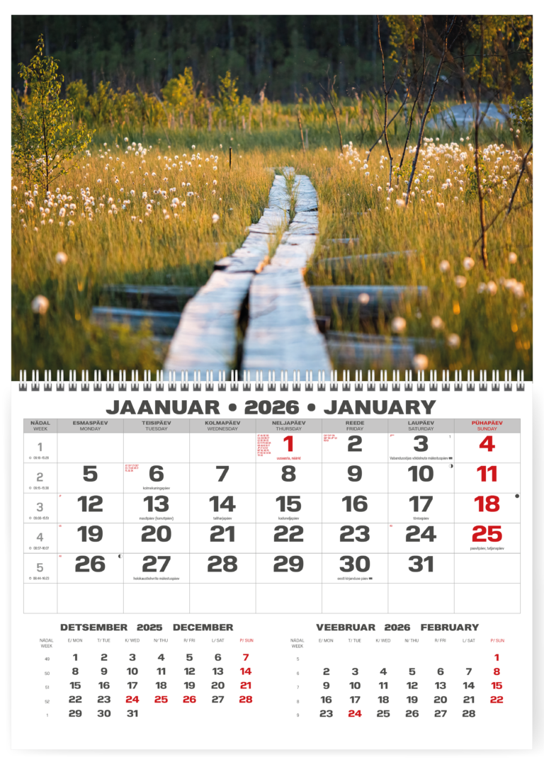 Pakabinamas kalendorius College UNO, lietuvių kalba, 2026 m, nr.8