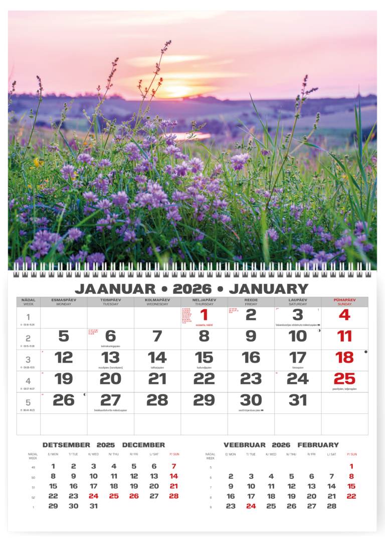 Sieninis kalendorius College UNO, lietuvių kalba, 2026m, nr.7