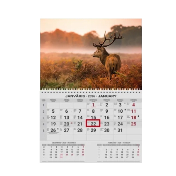 Pakabinamas kalendorius College UNO, lietuvių kalba, 2026 m, nr.6