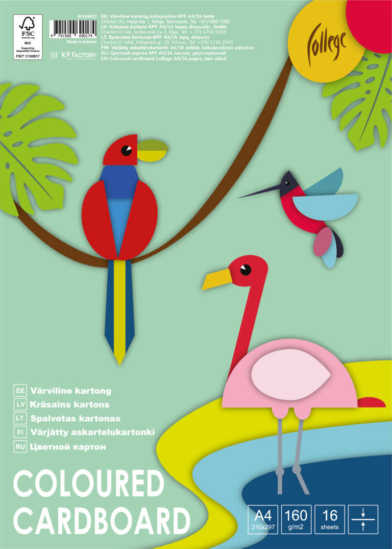 Spalvotas kartonas College, A4, dvipusis, 16 lapų, 8 spalvos