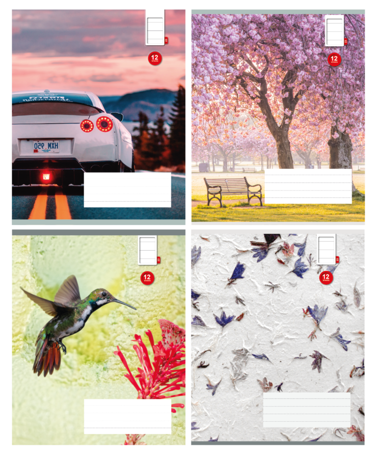 Sąsiuvinis College, 165x205mm, 12 lapų, linijomis, su fotoviršeliu