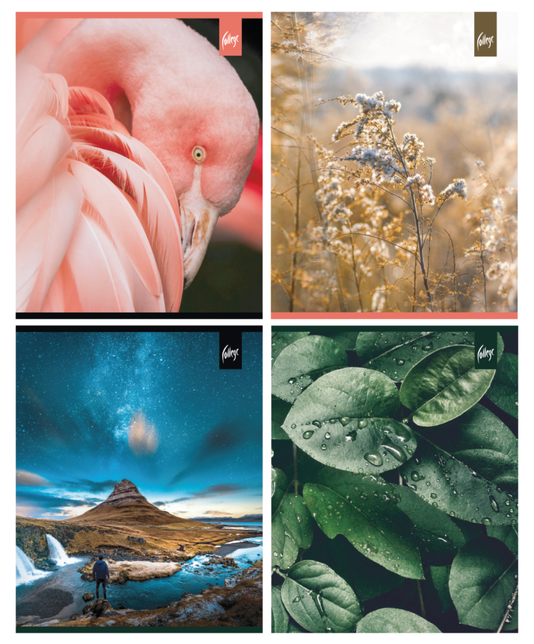 Sąsiuvinis College, A5, 96 lapai, minkštu viršeliu, langeliais