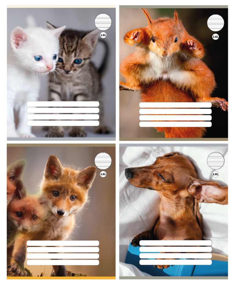 Sąsiuvinis PREMIUM, 2 klasei, 165×205, 12 lapų, 100g, linijomis