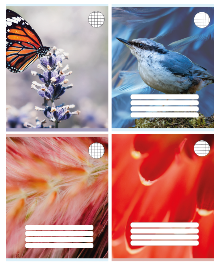 Sąsiuvinis „PREMIUM“, 165×205, 12 lapų, 100g, langeliais