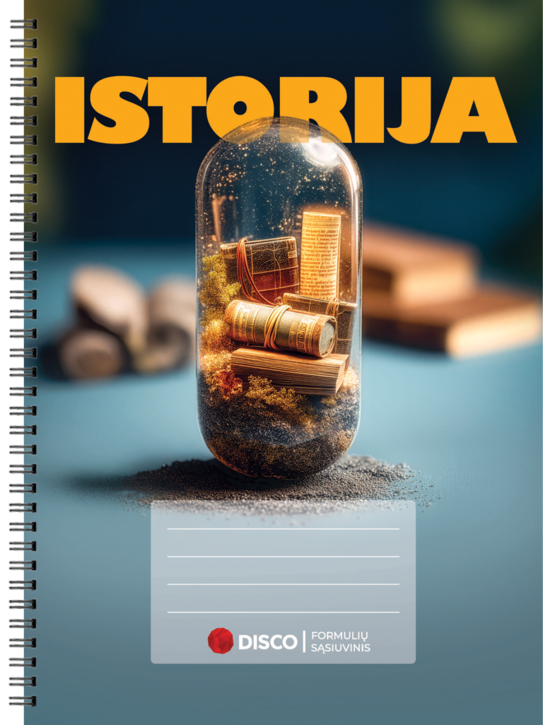 Formulių sąsiuvinis istorijai, 50 lapų, langeliais