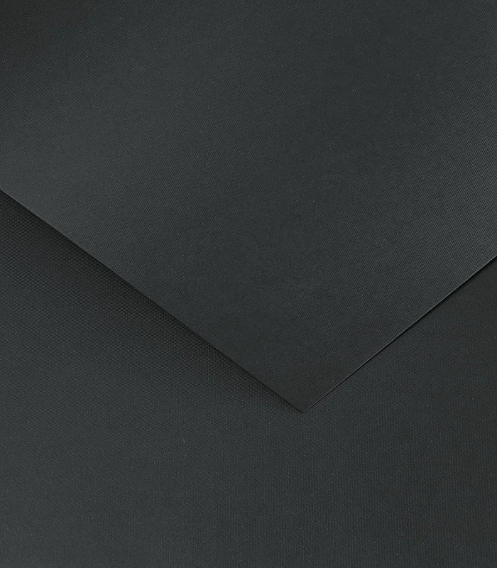 Cardstock Floryda black (20 pcs.)