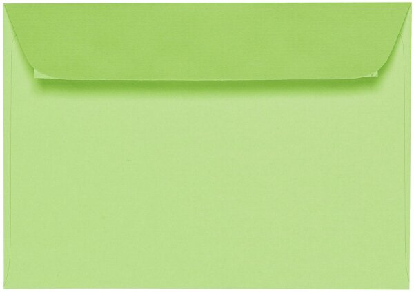 Dekoratyvinis vokas Artoz C65, 114x224mm, 100g, šviesiai rudos spalvos