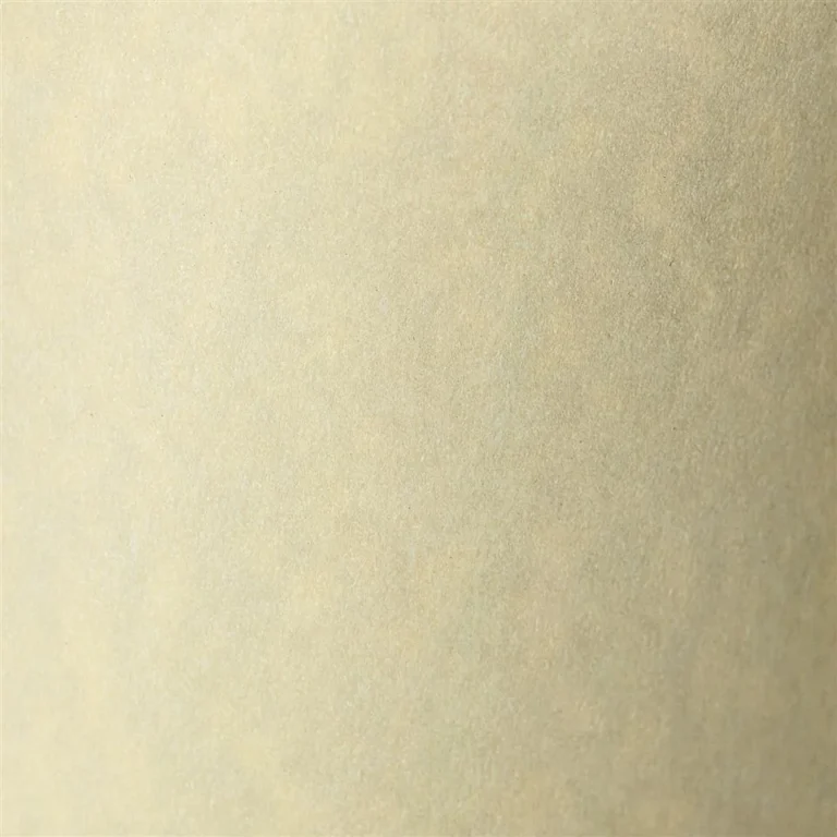 Kartonas Granit ivory ( 20 vnt.)