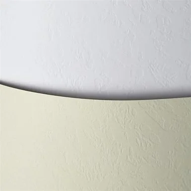 Kartonas Skora ivory ( 20 vnt.)